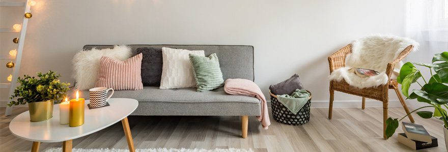 salon scandinave