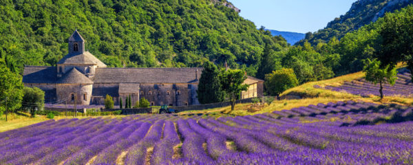 expérience touristique en Provence